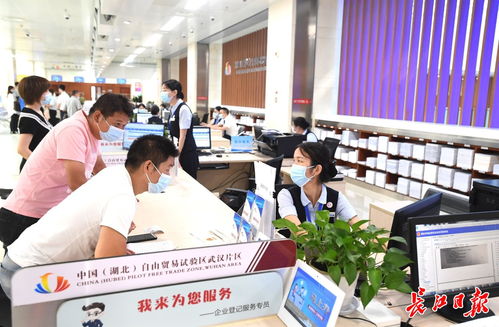 武漢市政府推動(dòng)新能源技術(shù)發(fā)展，構(gòu)建綠色低碳未來